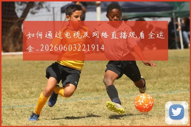 维尼修斯:皇马新王的崛起之路与技术特点解析